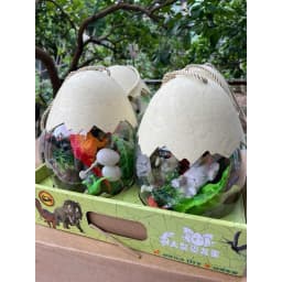 Trứng Khủng Long Đồ Chơi Cho Bé – Trứng Nở Khủng Long Mô Hình, Đồ Chơi Khám Phá - 2